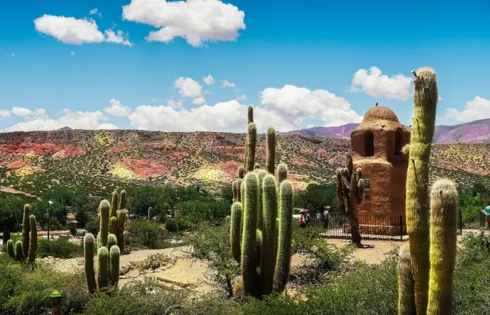 green cactus plants near brown rock formation under blue sky during daytime